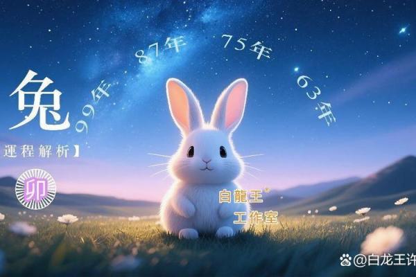 属兔人2026年提车吉日 生肖属兔2026年3月提车最吉利的日子有哪些