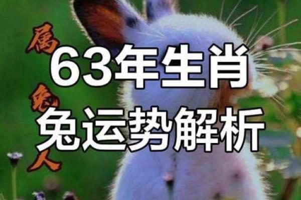 生肖属兔2026年大年初五可以结婚吗 生肖属兔2026年3月交易最吉利的日子有哪些