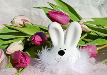 属兔3月份提车吉日 生肖属兔2026年3月提车黄道吉日一览表