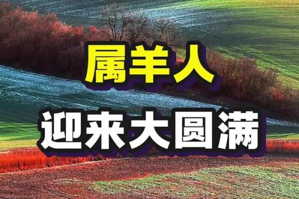 属羊搬家吉日2026年3月搬家吉日查询 生肖属羊2026年3月搬厂最旺吉日老黄历 属羊搬家吉日2026年3月搬家吉日查询 生肖属羊2026年3月搬厂最旺吉日老黄历